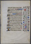 MS_586r