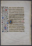 MS_586v
