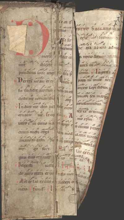 Cod660_VDS_Detail_Falz