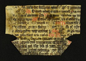 Innsbruck_ULBT_Frg_007_01_r