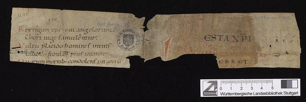 WLB_Cod_fragm_33_I_r_II_v