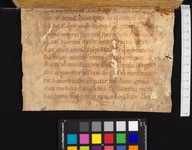 back pastedown dorse