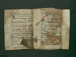 StAL_B_113_I_Bue_1453_IIv_Ir