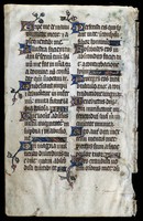 University_South_Carolina_HL_17_Verso