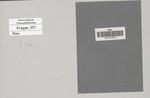 Fragm357_Mappe