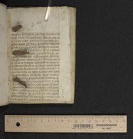 lower pastedown (lifted), recto