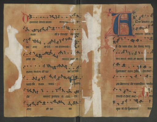 A_302_Bd_14769_IIv_Ir