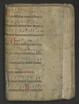 151_II_Bd_14_Ir_rechts