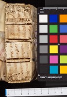 mds_51Aa04_dorso_phy