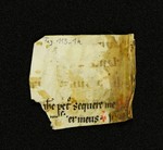 Innsbruck_ULBT_Frg_113_01_r