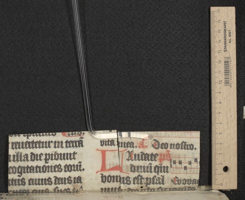 lower quire guard 1 recto