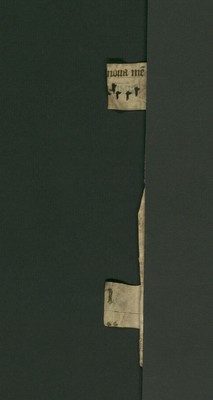 StAL_B_139_a_I_Bue_1150_Ar_links_Bv_links