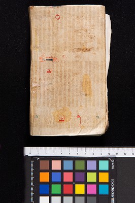 Piatto anteriore_phy