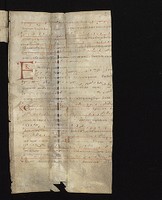 WLB_Cod_fragm_56_C_r