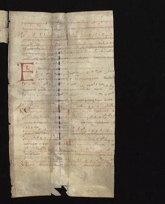 WLB_Cod_fragm_56_C_r