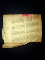 CV_195 second fragment