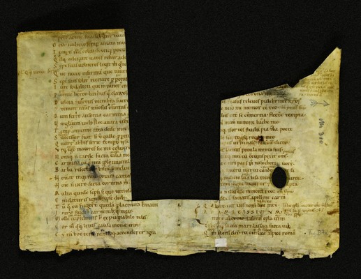 Innsbruck_ULBT_Frg_B07_r