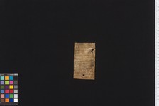Stams_STA_Frg_024_01v