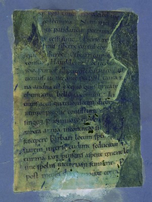 Otho_A_XII_1r_UVCompositeR15G17B19