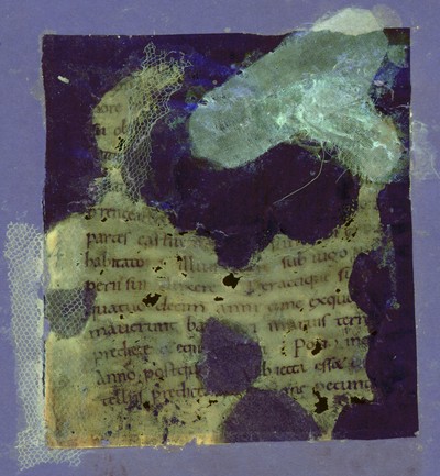 Otho_A_XII_4r_UVCompositeR15G17B19