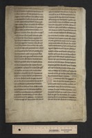 ab_park_20200303b_0012_VIII_B20_16