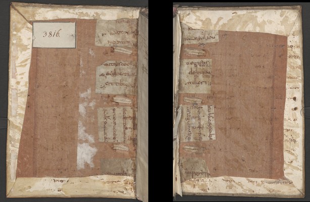 Cod3816_Rekonstruktion_Rueckenverstaerkung