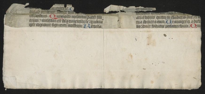 StAL_B_231_Bd_2470_IIv_Ir