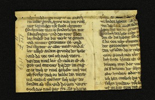 Innsbruck_ULBT_Frg_032_01_r