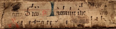 Spine (cropped)