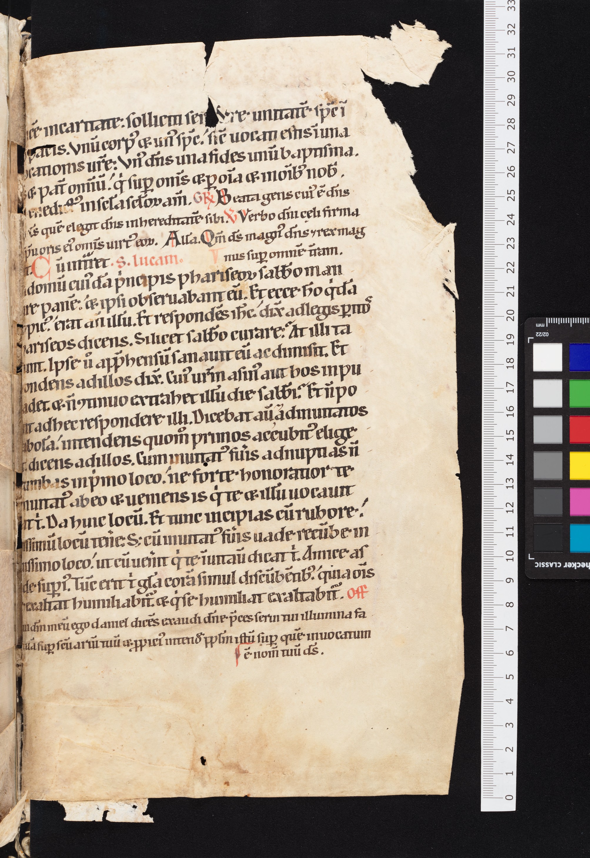 back pastedown dorse