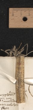 stay 1 (after fol. 80), inside