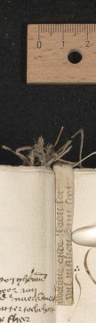 stay 2 (after fol. 80), lower