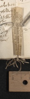 stay 2 (after fol. 80), inside