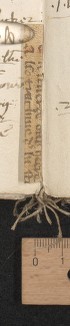 stay 2 (after fol. 80), lower