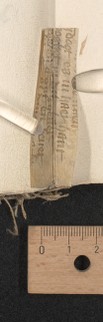 stay 7 (after fol. 146), inside