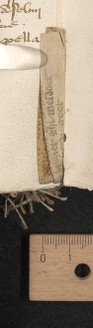 stay 11 (after fol. 194), upper