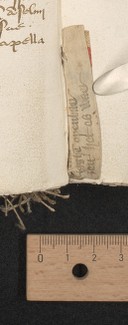 stay 11 (after fol. 194), lower