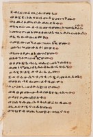 recto