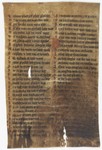 Fol. 155r ('CLV', fragment 10)