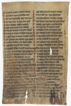 Fol. 155v ('CLV', fragment 10)