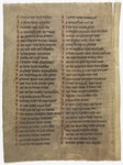 Fol. 169v ('CXLVIIII', fragment 14)