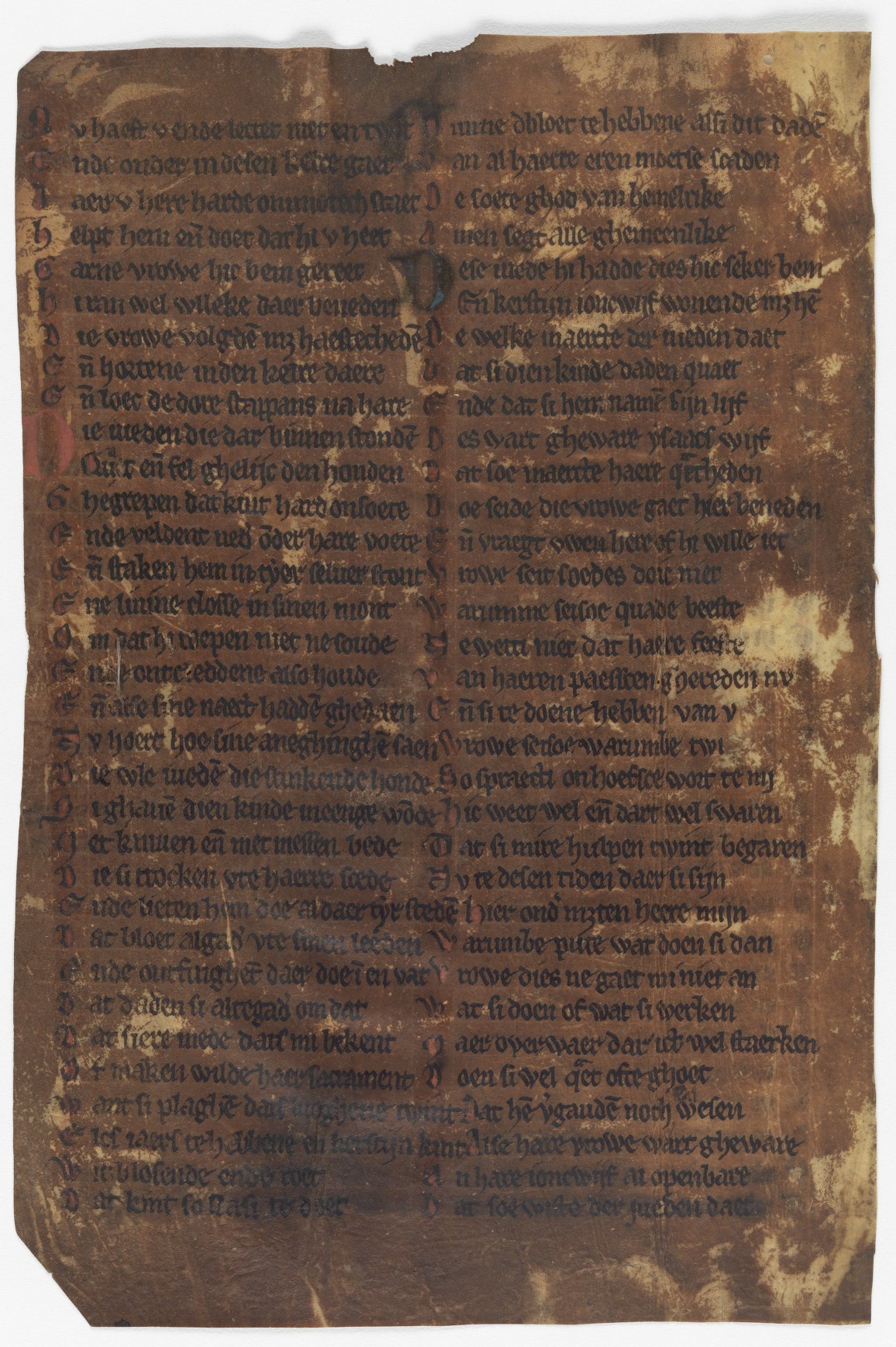Fol. 186v ('CLXXXVI', fragment 18)