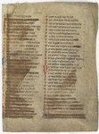 Fol. 243r ('CCXLIII', fragment 19)