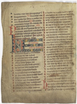 Fol. 243v ('CCXLIII', fragment 19)