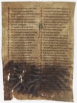 Fol. 225r ('CCXXV', fragment 20)