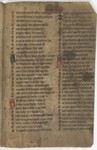Fol. 238r ('CCXXXVIII', fragment 21)