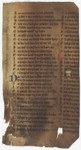 Fol. 240r ('CCXXXX', fragment 22)