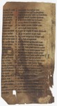 Fol. 240v ('CCXXXX', fragment 22)
