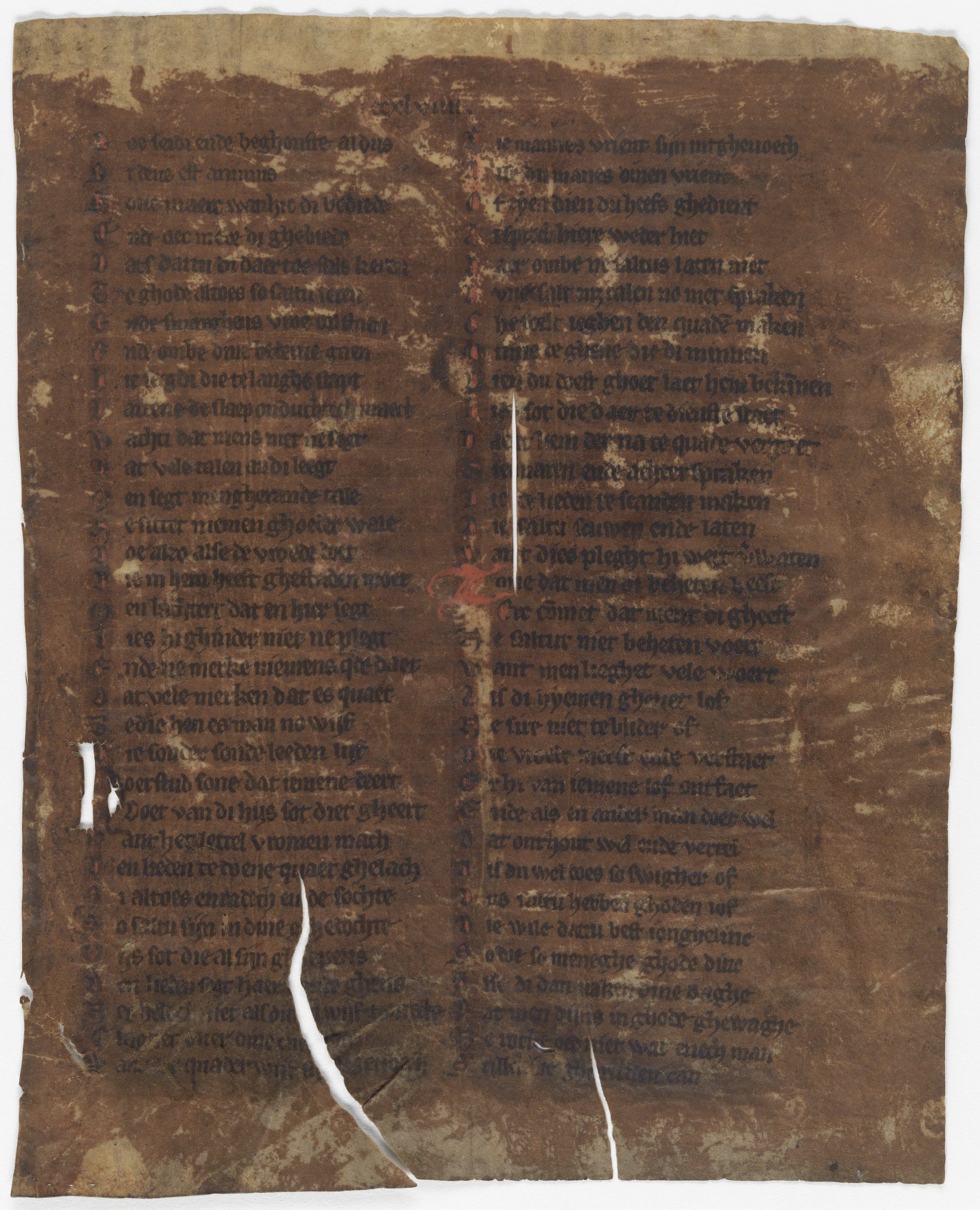 Fol. 249r ('CCXLVIIII', fragment 24)
