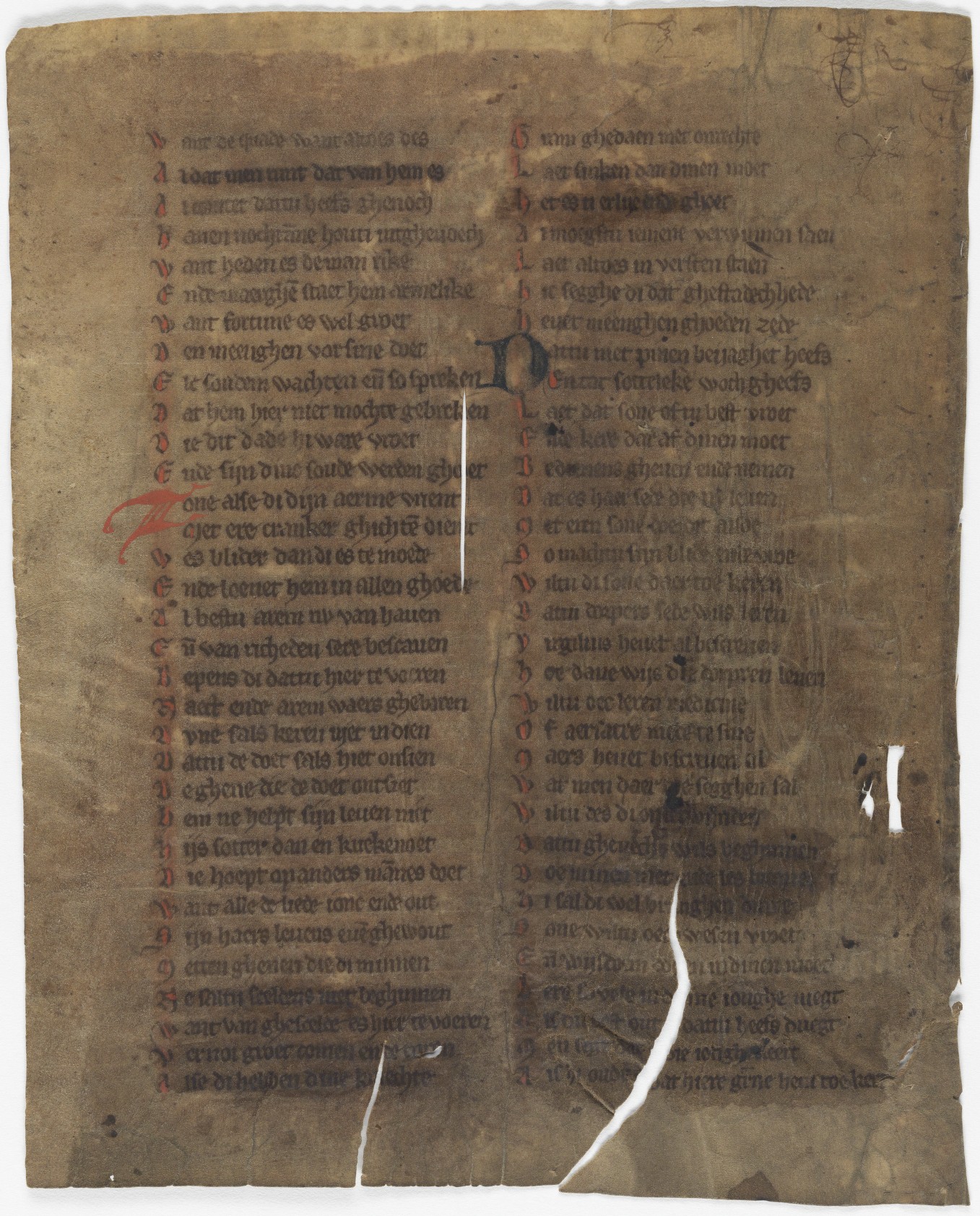 Fol. 249v ('CCXLVIIII', fragment 24)